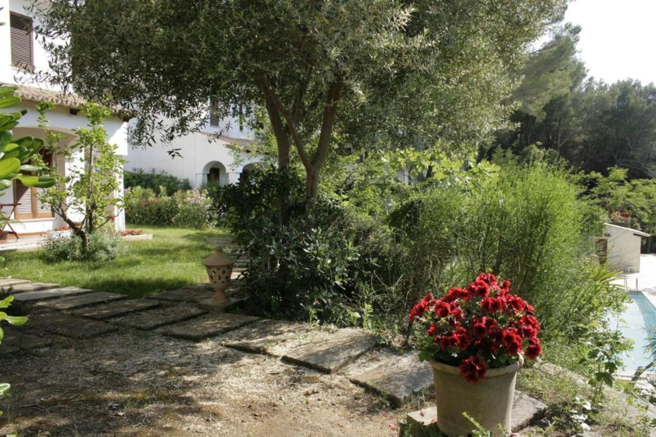 Botana 7 Villa Cala San Vicente (Mallorca)